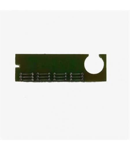 Del 1600-1600N Chip